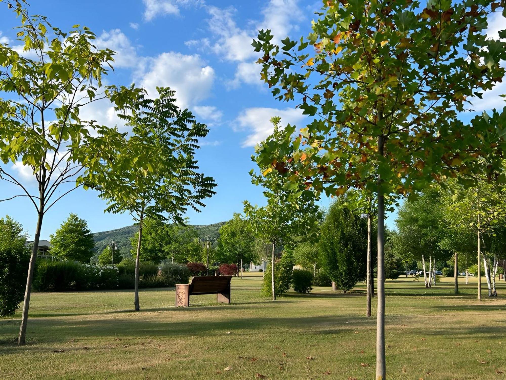 Vila cu Mesteceni Câmpina Exterior foto