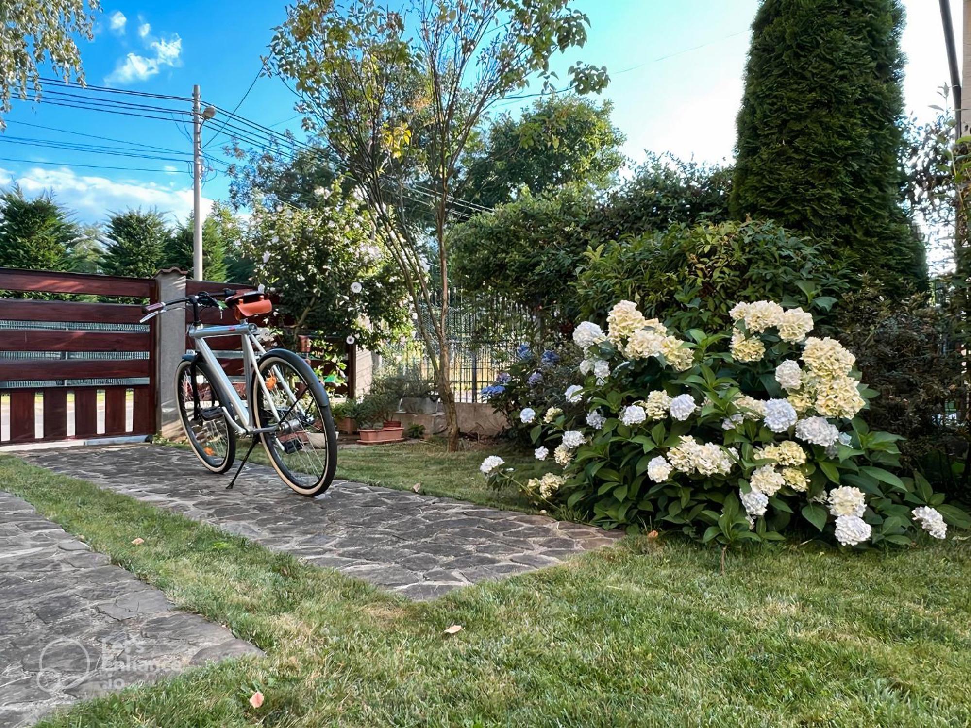 Vila cu Mesteceni Câmpina Exterior foto